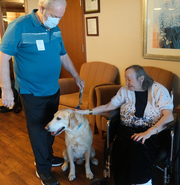 Willy the Yellow Lab Brings Smiles to Ovation Residents