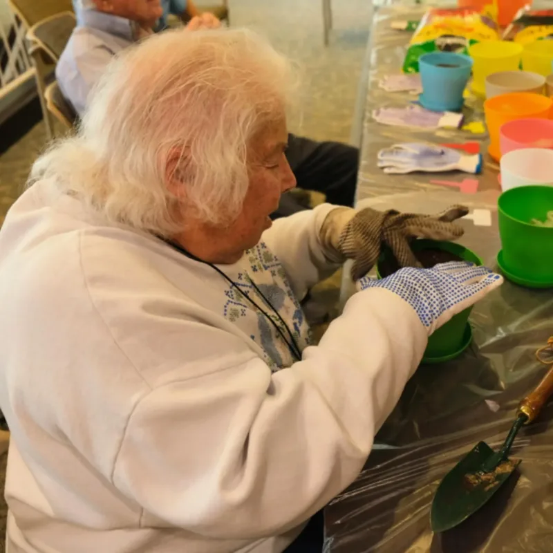 Passport to Israel – Kibbutz